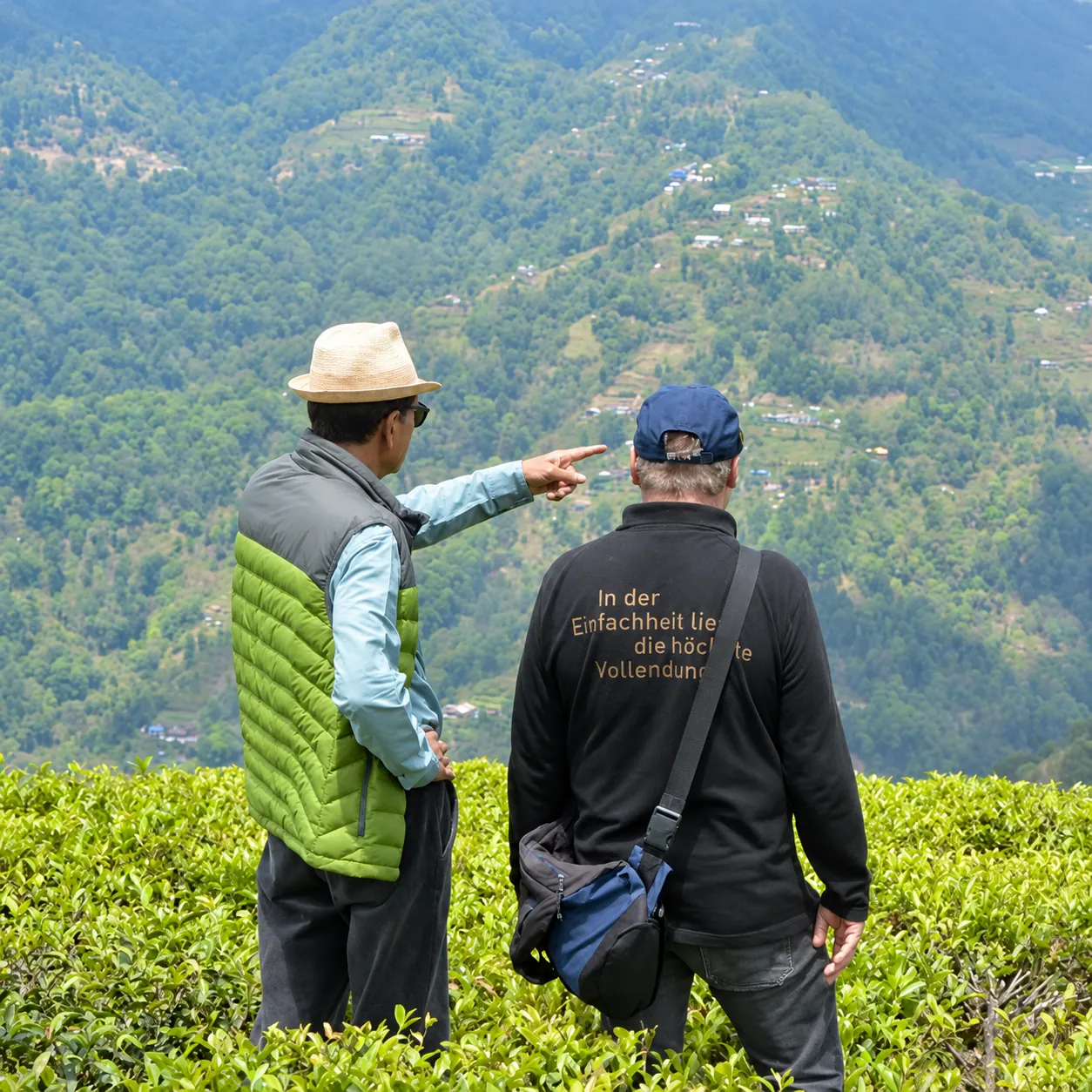 Besuch der Teekampagne in einem Teegarten in Darjeeling